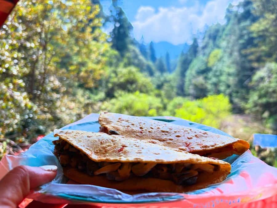 Mexico City: Guided Hike in the Dinamos Forest - What the guide adds to the day