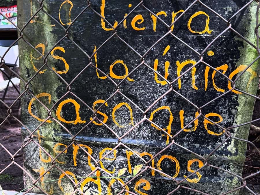 Mexico City: Guided Hike in the Dinamos Forest - Practical ways to prepare