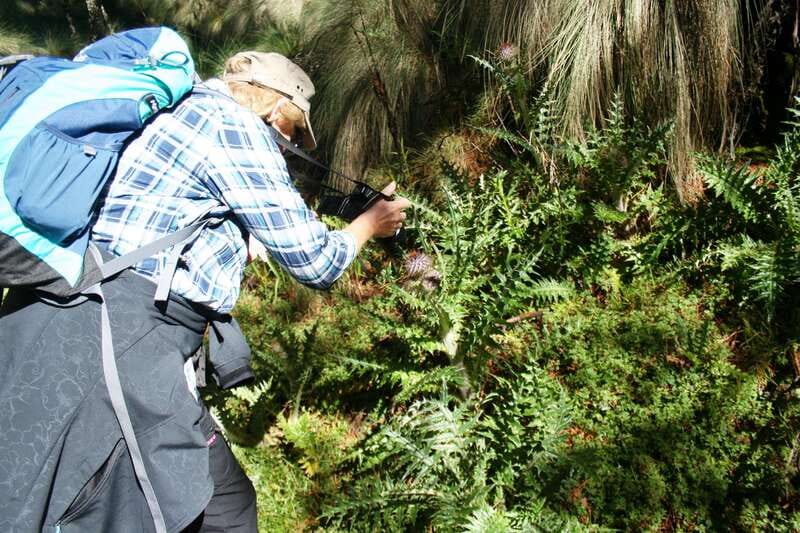 Mexico City: Guided Volcano Trek with Lunch - Popocatépetl, Iztaccíhuatl, and the fumarole