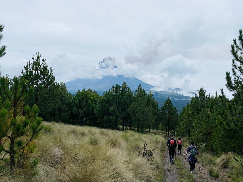 Mexico City: Guided Volcano Trek with Lunch - Snacks on the trail and lunch at the market