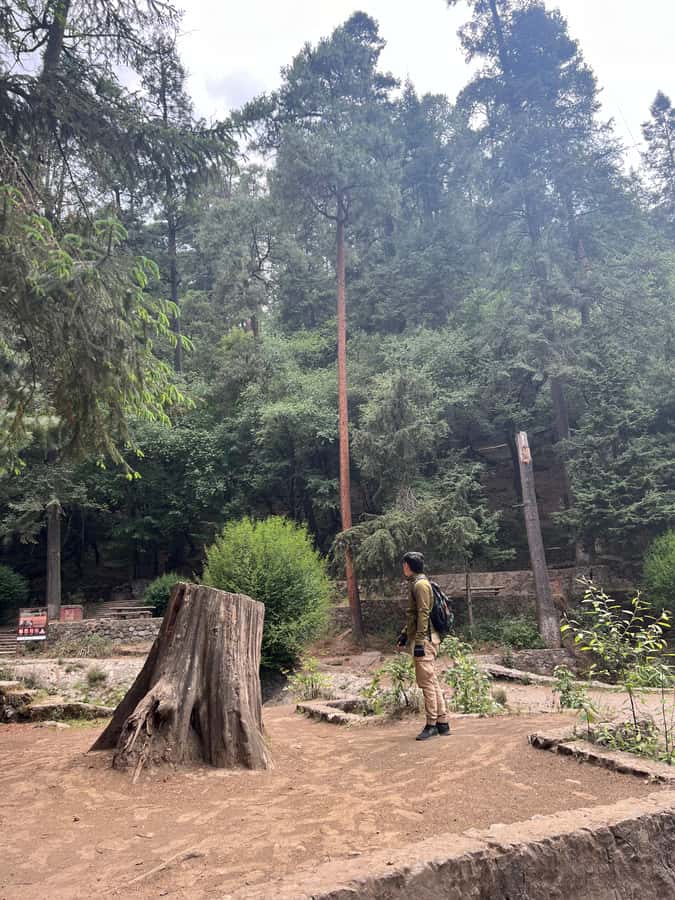 Mexico city: Hiking tour to Desierto de los leones - Why Desierto de los Leones makes a good city break