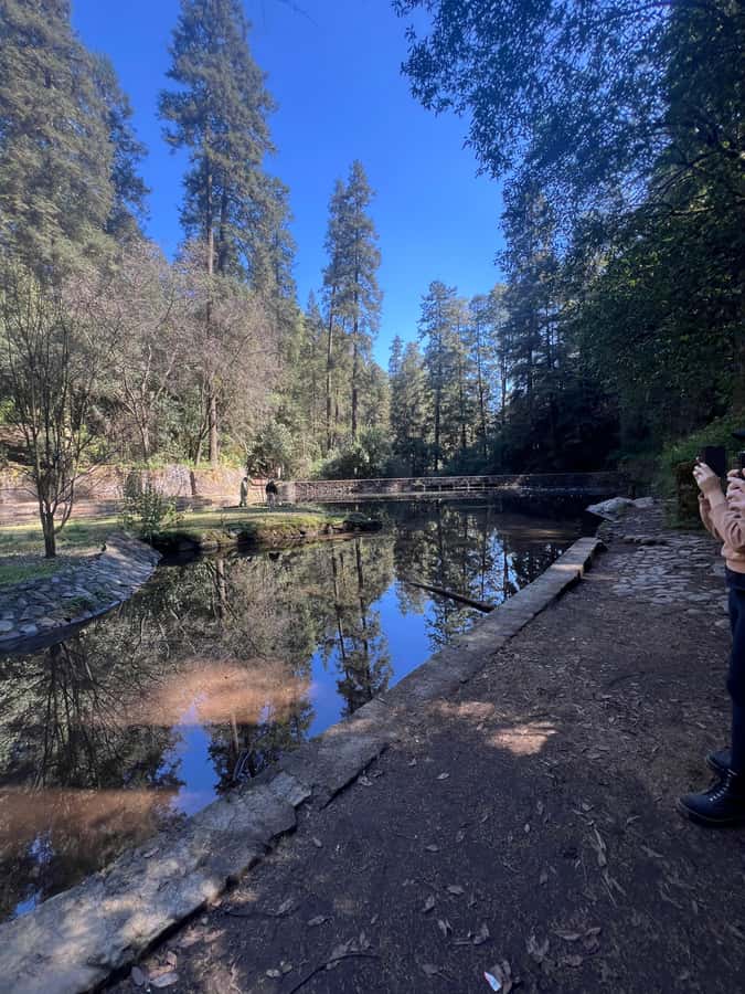 Mexico city: Hiking tour to Desierto de los leones - Warming up before the forest trail