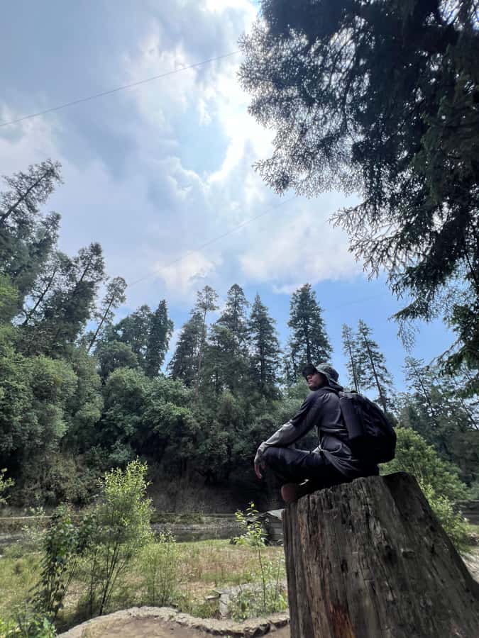 Mexico city: Hiking tour to Desierto de los leones - Is $163 a fair price?