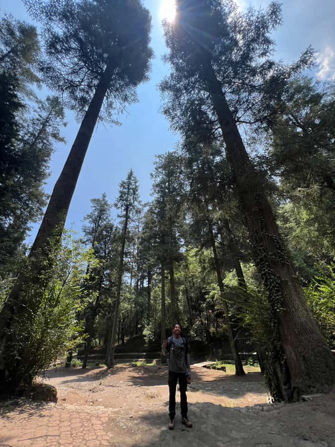 Mexico city: Hiking tour to Desierto de los leones - Who should book this hike?