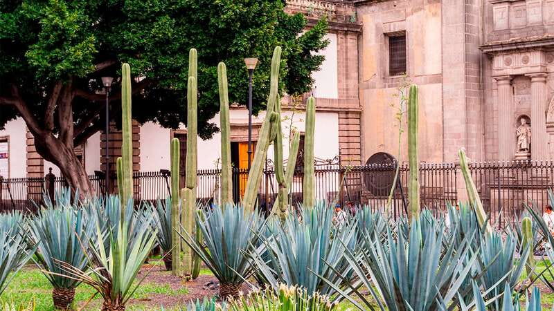 Mexico City: Historic Downtown Walking Tour - Templo Mayor and the Aztec city beneath Mexico City