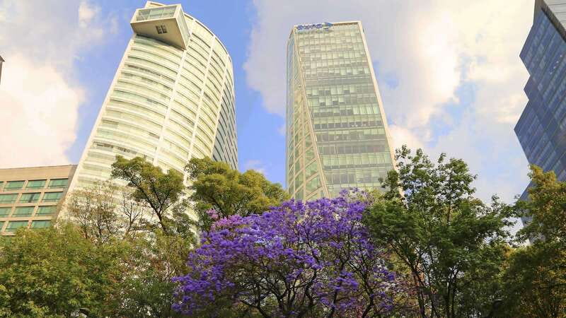 Mexico City: Hop-on Hop-off City Tour by Turibus 1-Day Pass - What the $20 ticket really buys you