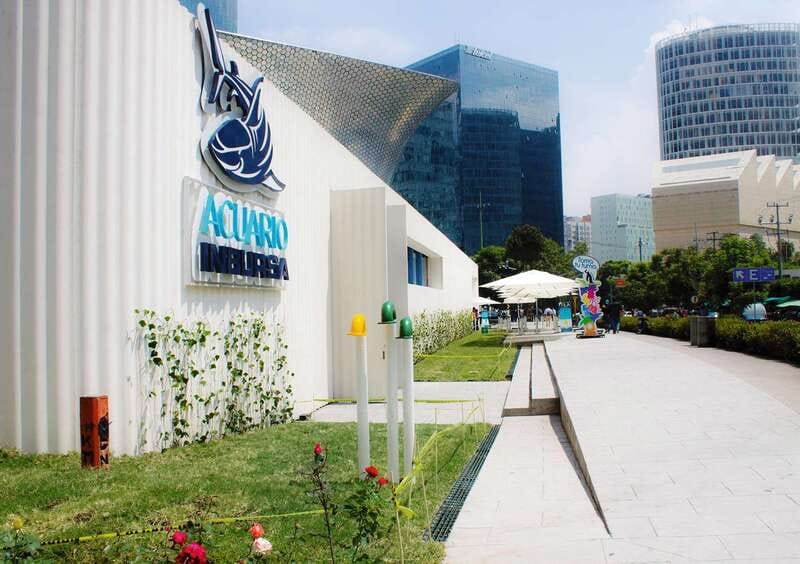 Mexico City: Inbursa Aquarium optional Round trip transfer - Key points to know before you go