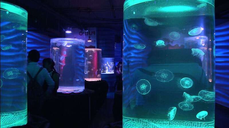 Mexico City: Inbursa Aquarium optional Round trip transfer - What makes the underground layout special