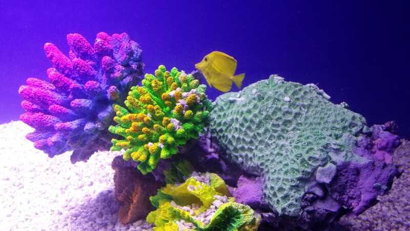 Mexico City: Inbursa Aquarium optional Round trip transfer - What to bring, and what to leave behind
