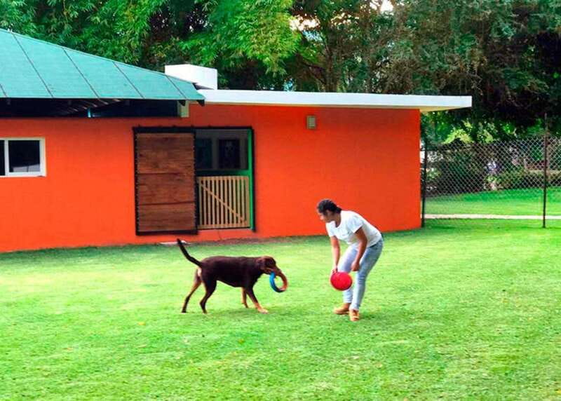 Mexico City: Las Estacas Natural Park Private Tour - What to pack and what to leave behind
