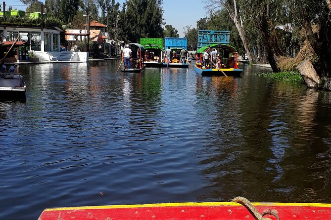 Mexico City Like a Local: Private & Custom Experience (2-4 hrs) - What the private format really adds