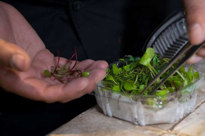 Mexico City: Mexican Cooking Class - The meal: from preparation to a shared table