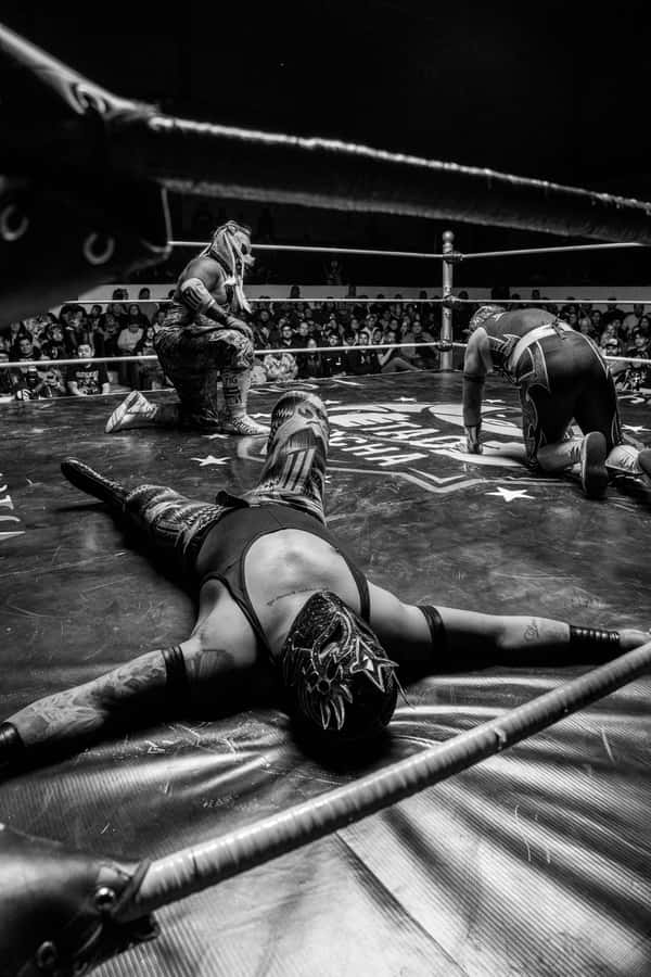 Mexico City: Mexican evening, lucha libre, and tequila - Key points about this Mexico City lucha libre night