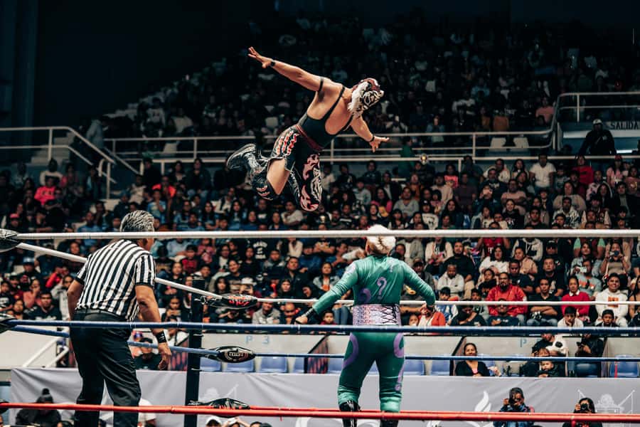 Mexico City: Mexican evening, lucha libre, and tequila - Why lucha libre makes a great Mexico City night