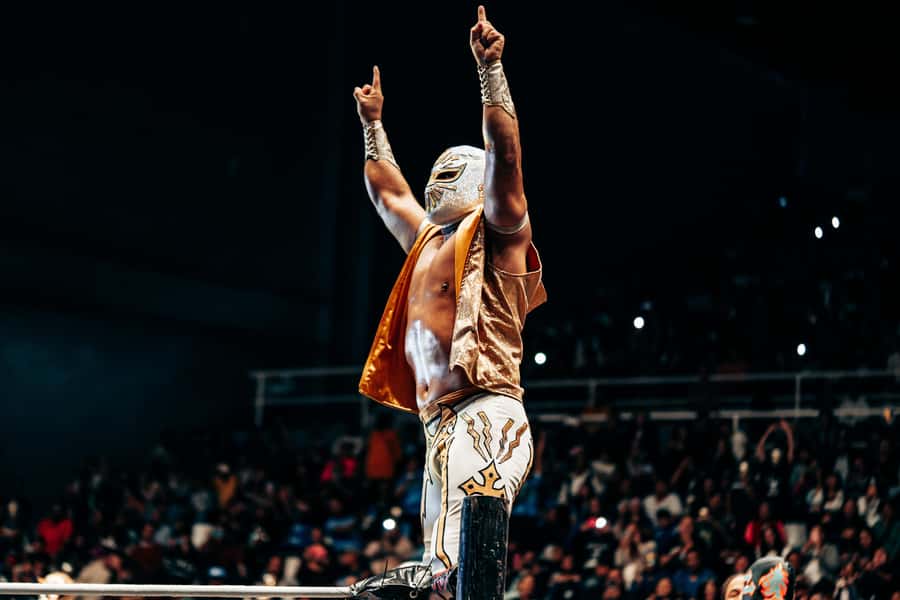 Mexico City: Mexican evening, lucha libre, and tequila - Tequila, mezcal, and the story behind the masks