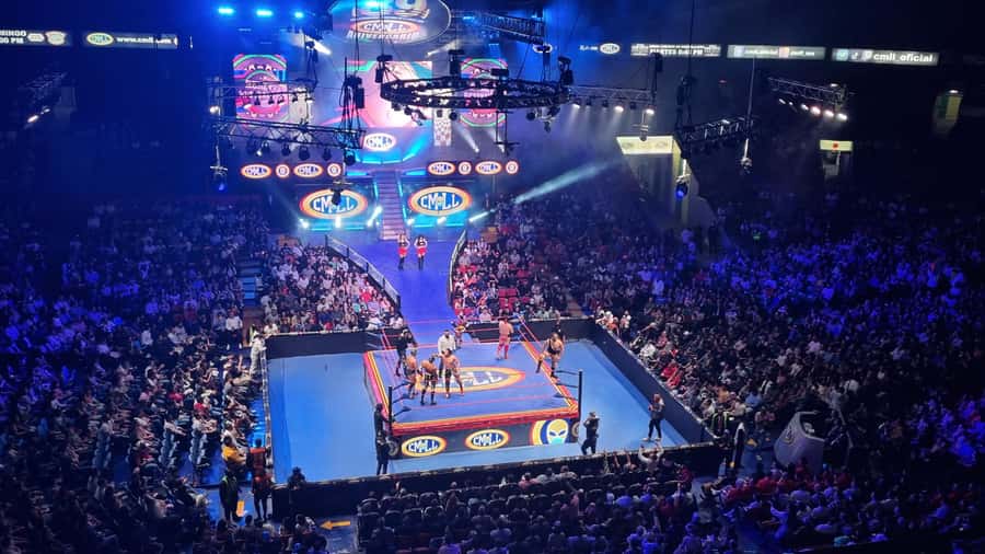 Mexico City: Mexican evening, lucha libre, and tequila - Who will enjoy this experience most?