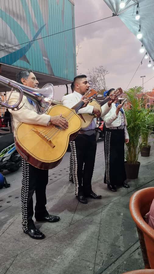 Mexico City: Mexican evening, lucha libre, and tequila - Practical tips for a smoother evening
