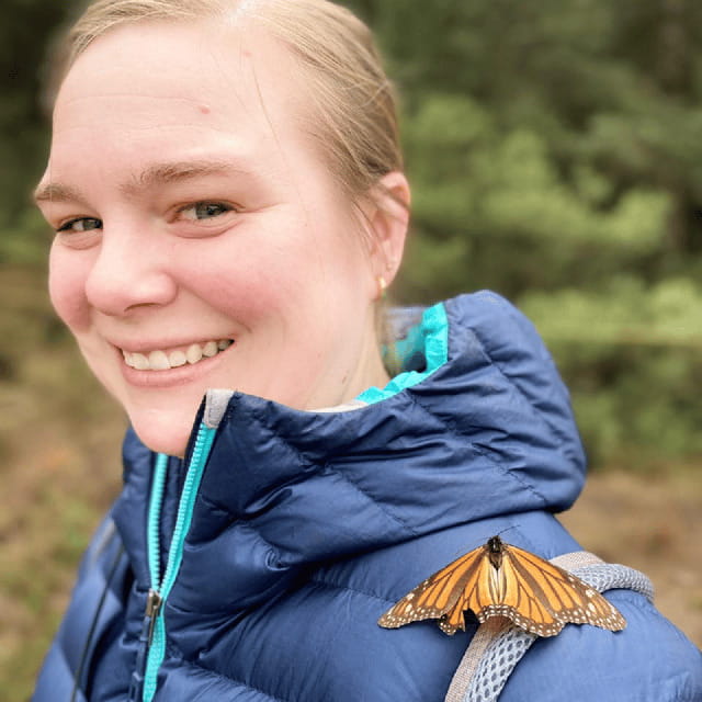 Mexico City: Monarch Butterflies, Sierra Chincua & Angangueo - Should you book the Sierra Chincua and Angangueo tour?