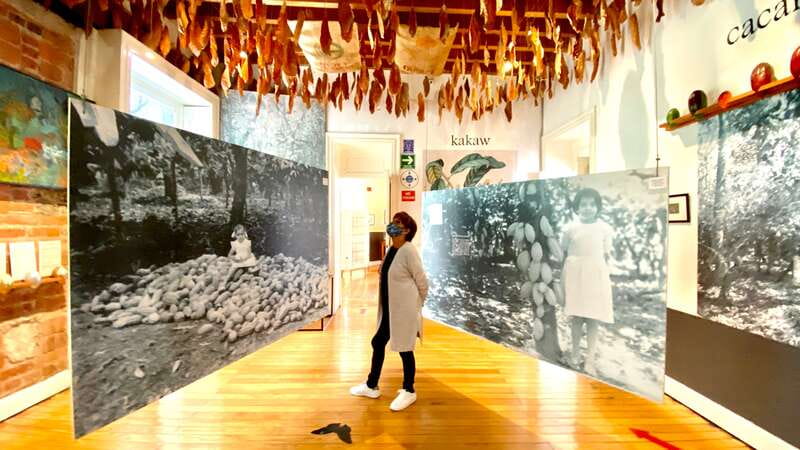 Mexico City: MUCHO Museum of Chocolate Entrance Ticket - Key points to know before you go