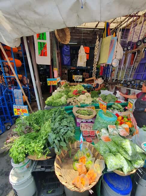 Mexico City: Mystic Markets La Merced & Sonora Culinary Tour - Should you book Mystic Markets La Merced and Sonora?
