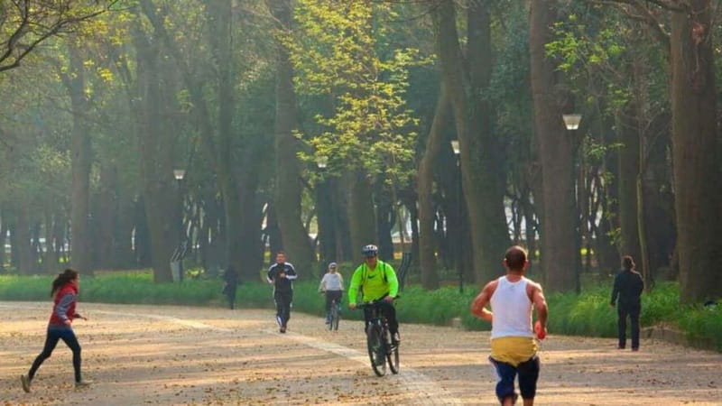 Mexico City: Private Chapultepec Park Bike Tour - Meeting at the Estela de Luz