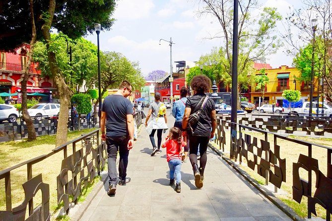 Mexico City Private & Personalized Full-Day Tour with a Local - Parque México and the everyday neighborhood mood