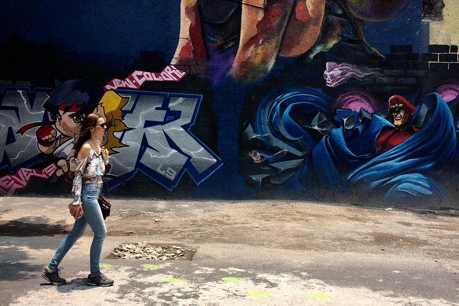 Mexico City Private Street Art Tour - Art with political and cultural context