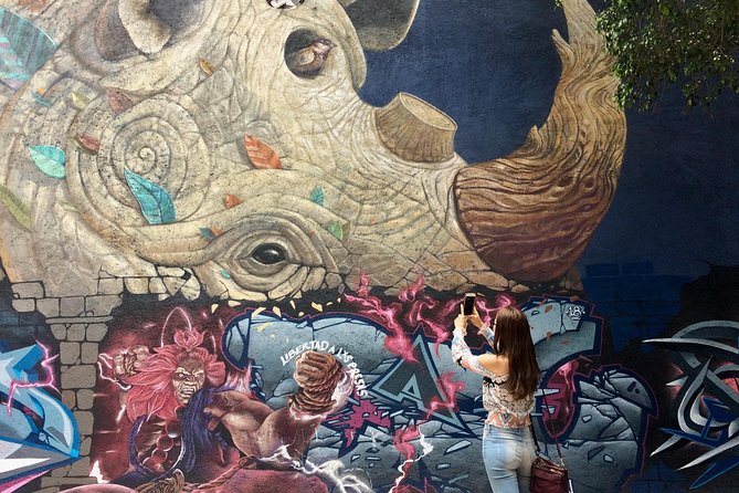 Mexico City Private Street Art Tour - Starting at José María Izazaga 8 in Centro Histórico