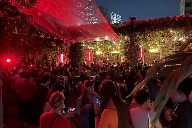 Mexico City Pub Crawl - Starting at Jardín Chapultepec in Roma Norte