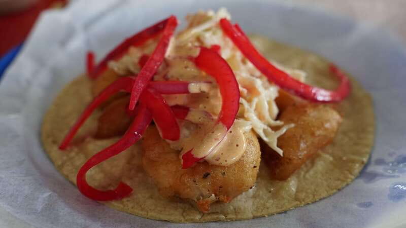 México City: Street Food to Home Cooking Food Tour - Practical details before you book