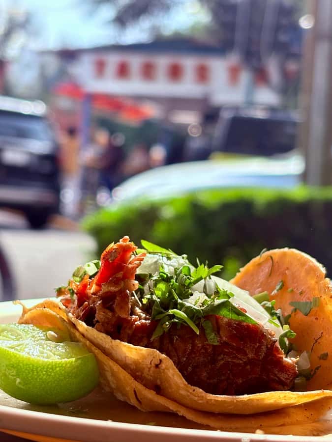 Mexico City: Taco Tour with Michelin Guide Spot & Tastings - El Maquech Púrpura and Yucatán flavor