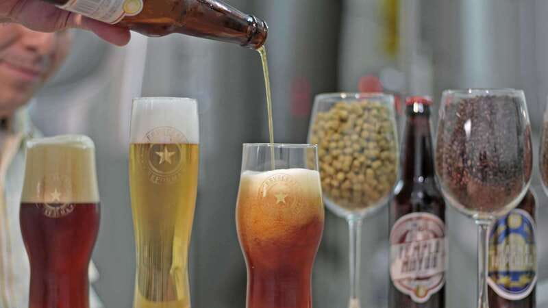 Mexico City Tasting Tour and Craft Beer Experience - Key points to know before you book
