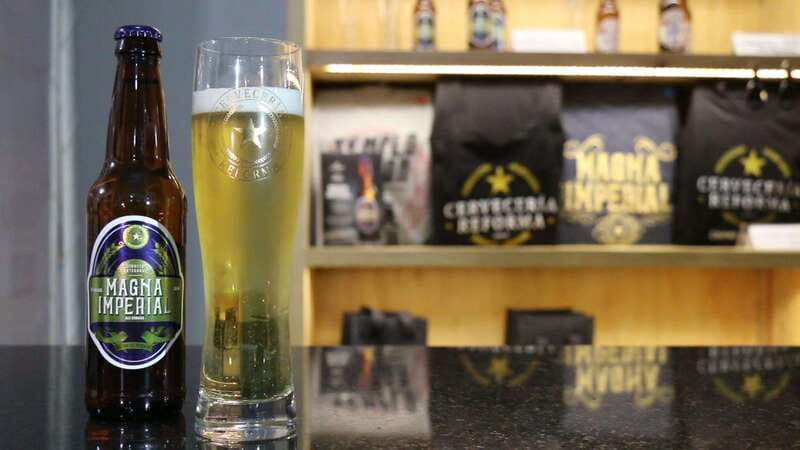Mexico City Tasting Tour and Craft Beer Experience - Hop The Beer Experience 2 and its 52 taps