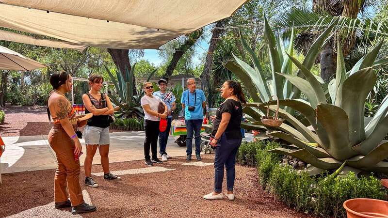 Mexico City: Teotihuacan, Tlatelolco & Basilica of Guadalupe - Why this combination works so well