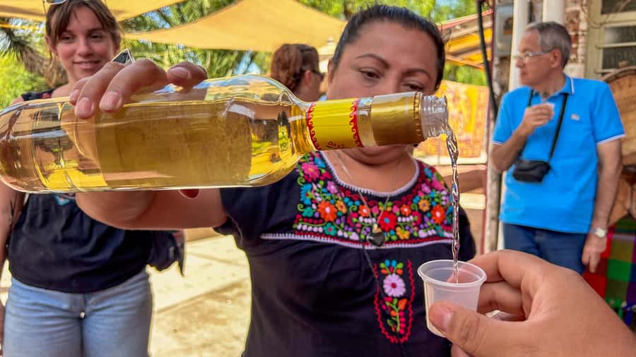 Mexico City: Teotihuacan, Tlatelolco & Guadalupe Shrine Tour - Guides, languages, and group size