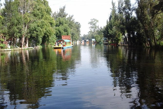 Mexico City Tour And Xochimilco - Transport, group size, and the real value of $70.20