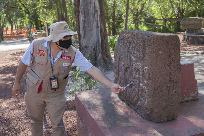 Mexico City: Trip to Teotihuacan Pyramids & Guadalupe Shrine - The Avenue of the Dead and La Ciudadela