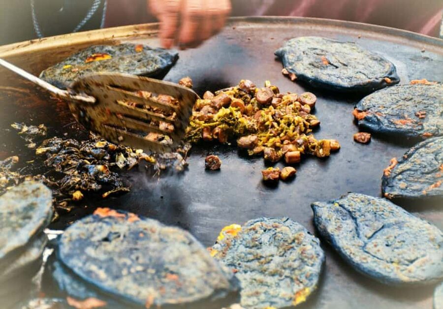 Mexico City: Vegan and Vegetarian Street Food Adventure - Meeting Sharon or Mena at Hilton Reforma