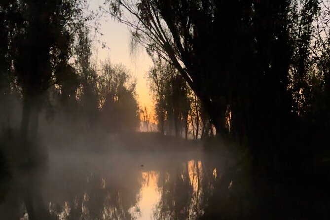 Mexico City: Xochimilco at sunrise + Breakfast and transportation - Returning in daylight at 9 a.m.