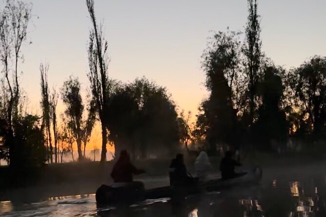 Mexico City: Xochimilco at sunrise + Breakfast and transportation - Is the $173.25 price good value?