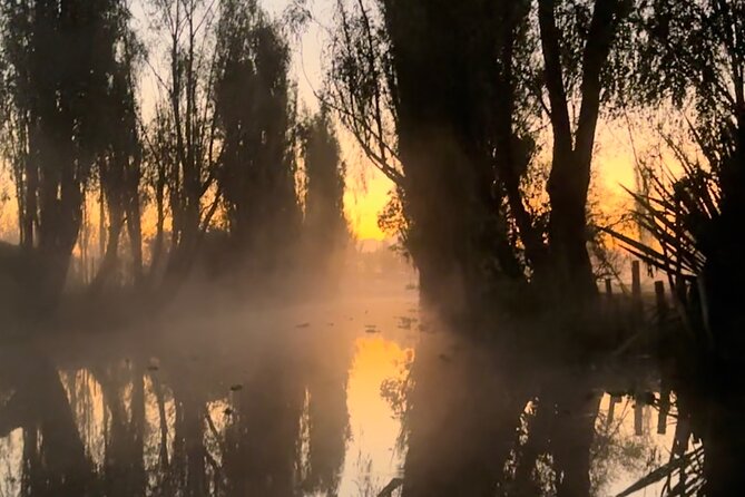 Mexico City: Xochimilco at sunrise + Breakfast and transportation - Who should book this experience
