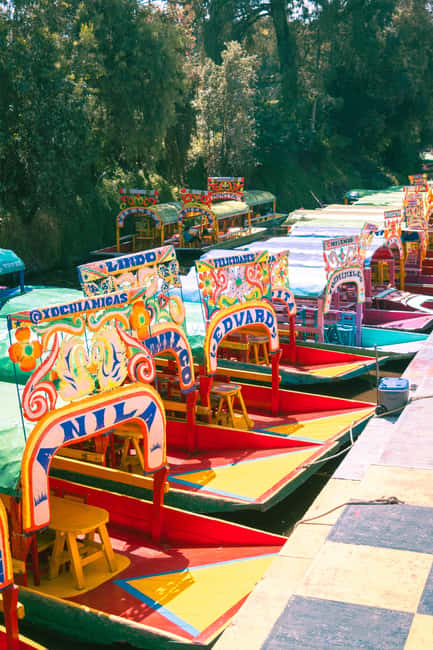 Mexico City: Xochimilco Boat with Guacamole & Premium Drinks - What the Xochimilco boat ride is really like