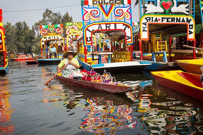 Mexico City: Xochimilco, Coyoacán and University City Tour - Three Mexico City districts in one morning