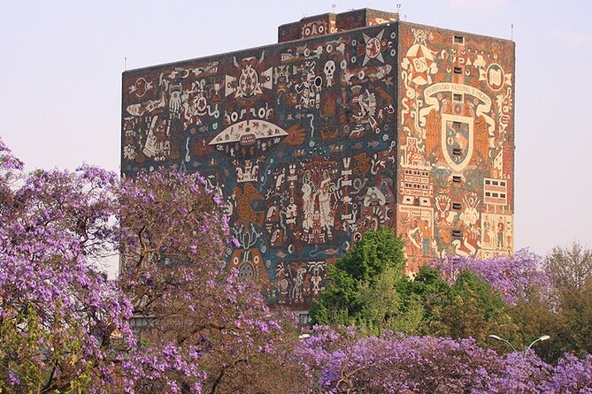 Mexico City: Xochimilco, Coyoacán and University City Tour - Xochimilco by trajinera