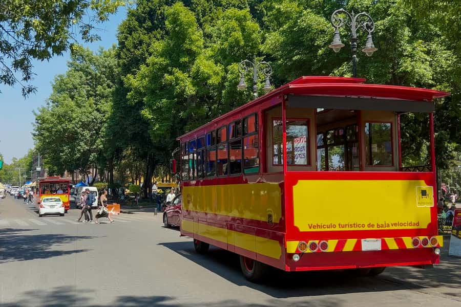 Mexico City: Xochimilco Coyoacan, Frida Kahlo & UNAM Murals - What the $89 price really buys