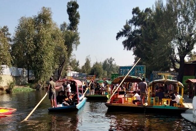 Mixology, Food, Wine and Beer Experience in Xochimilco - Mariachi, customs, and the social side of the ride