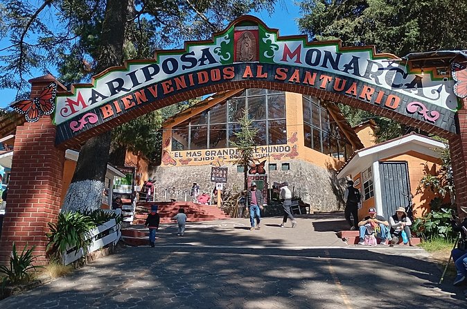 Monarch Butterflies El Rosario Preserve from Mexico City - What The $585 Price Really Buys