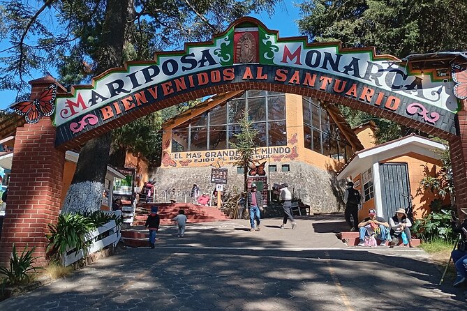 Monarch Butterflies El Rosario Preserve from Mexico City - Food, Timing, And What To Bring