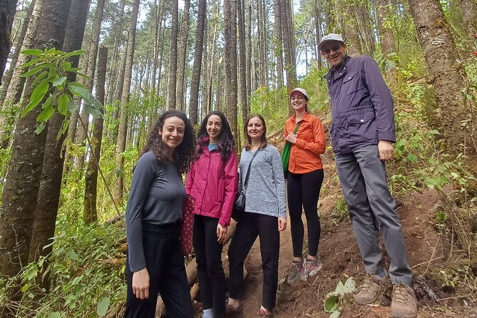 Monarch Butterfly Reserve: Piedra Herrada Magical Valle de Bravo - Why the monarchs make this trip worth the effort