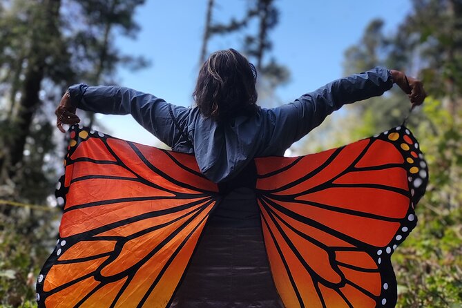 Monarch Butterfly Reserve: Piedra Herrada Magical Valle de Bravo - Piedra Herrada: a real mountain hike, not a casual stroll